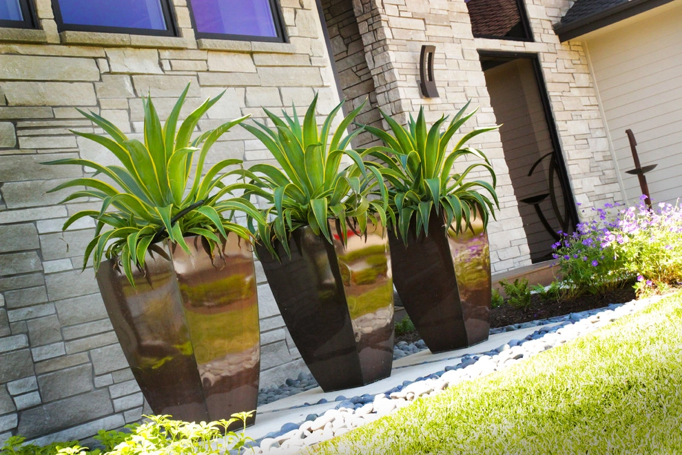 Lake Front Luxury by Lanoha Nurseries - Photo 5