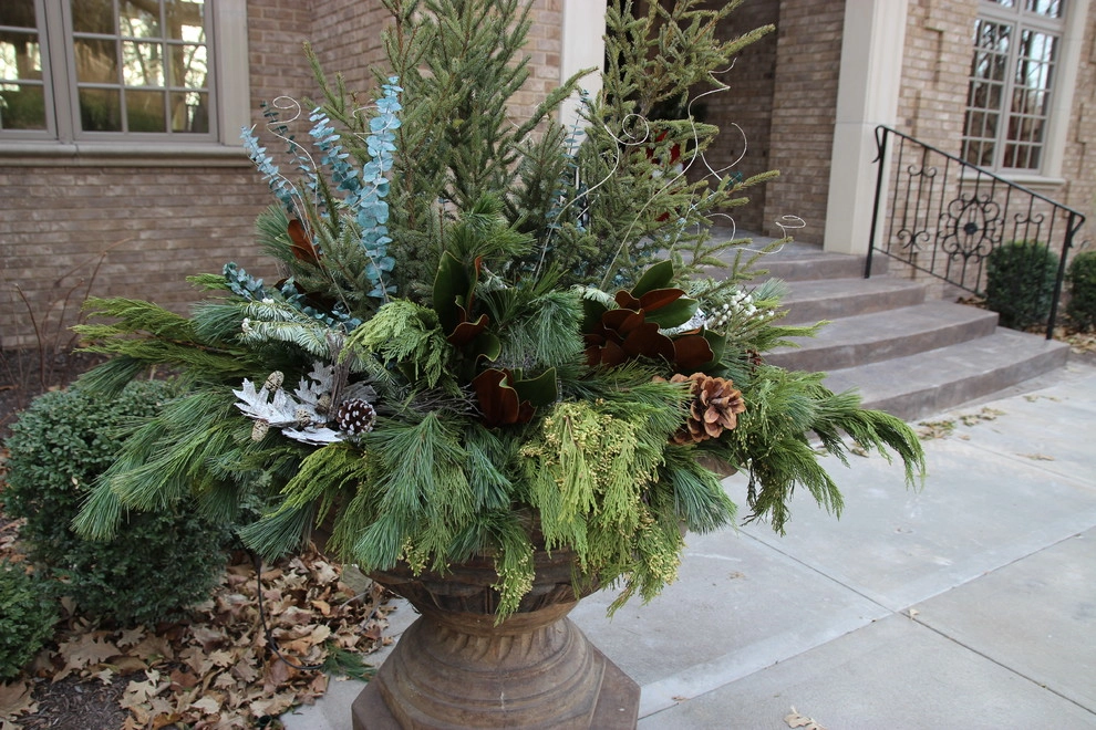Winter wonderland seasonal containers by Lanoha Nurseries - Photo 5