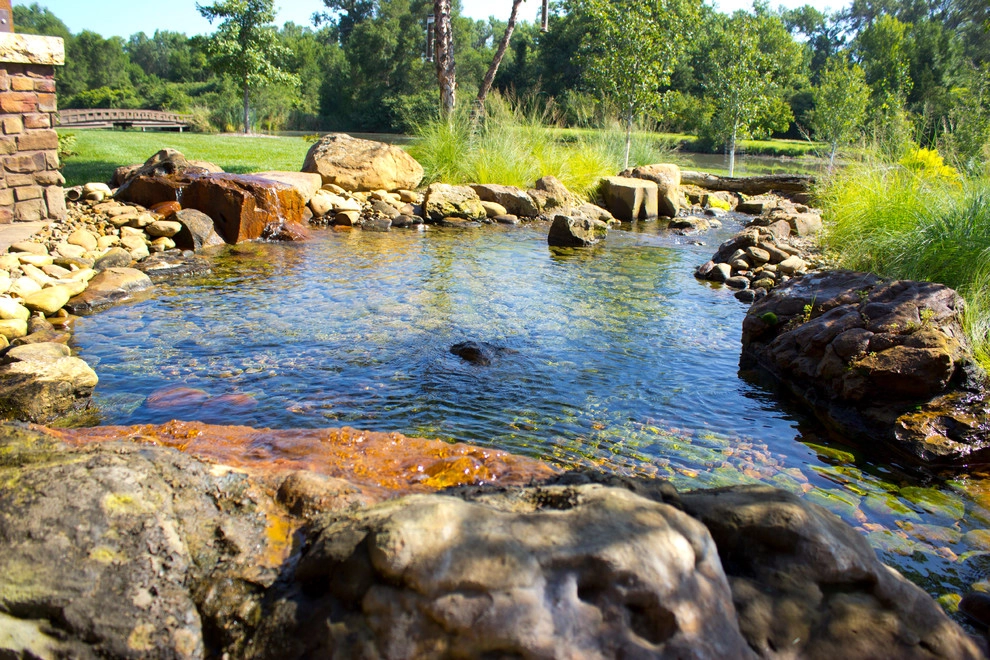 Backyard Creek by Lanoha Nurseries - Photo 7