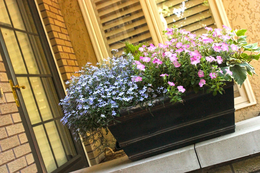 Backyard Patio by Lanoha Nurseries - Photo 2