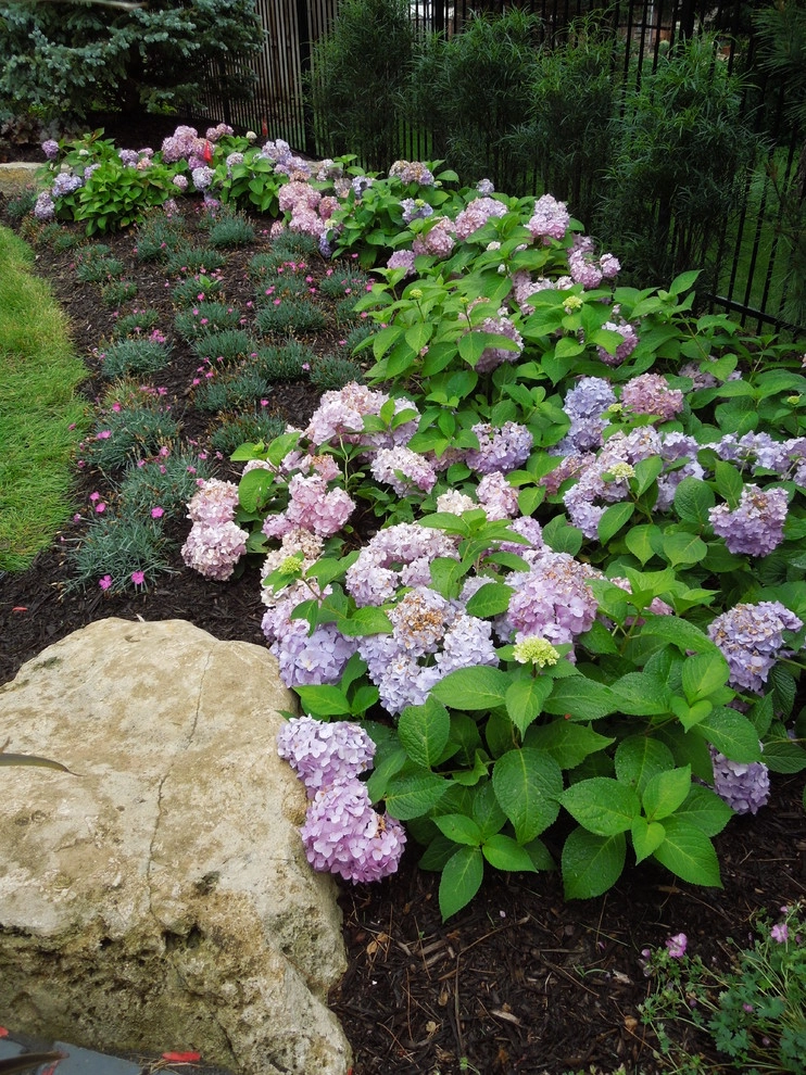 Complete Backyard Re-Do by Lanoha Nurseries - Photo 4
