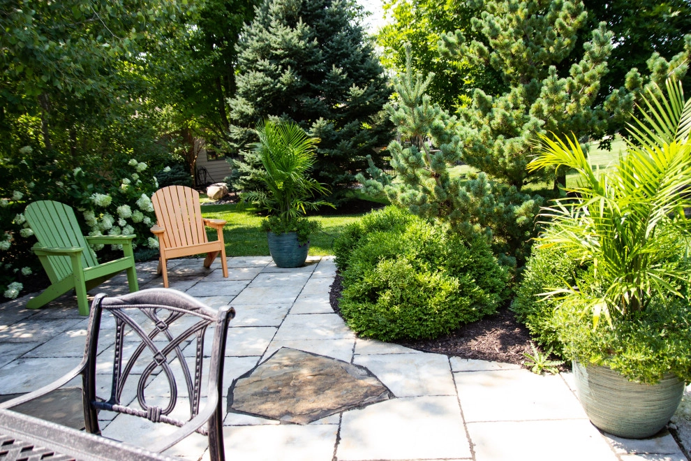 Established & Gorgeous by Lanoha Nurseries - Photo 7
