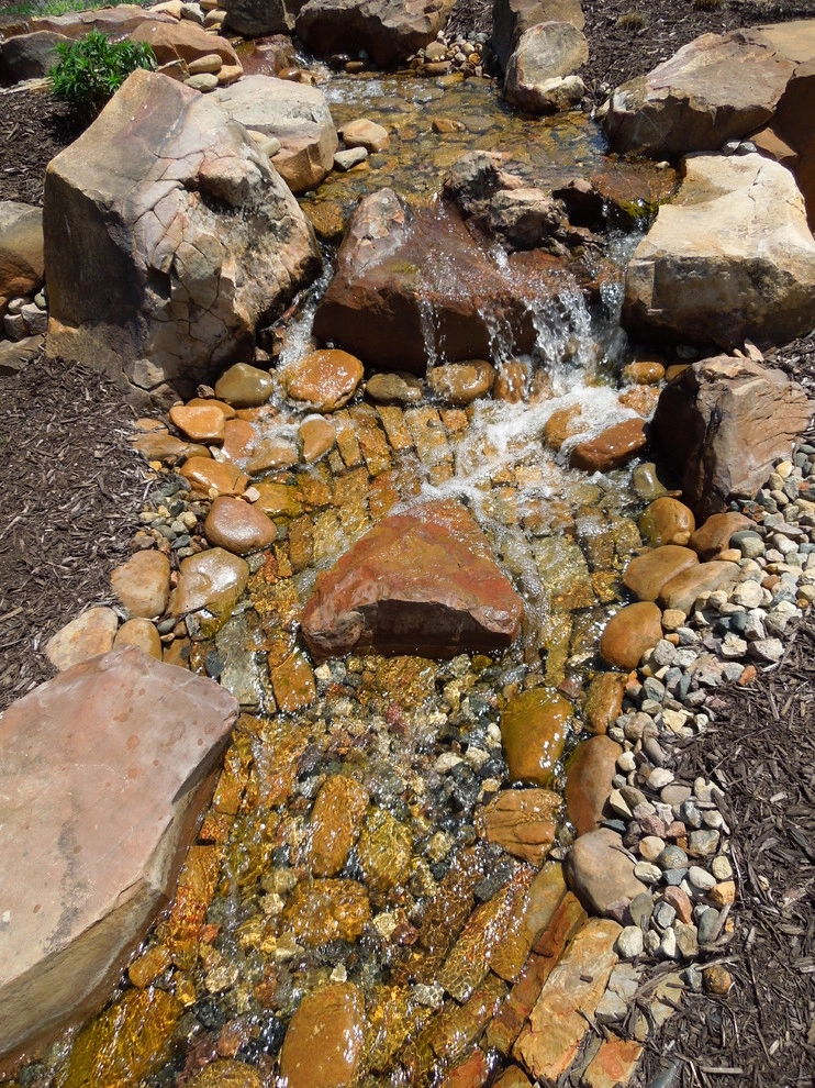 Front Yard Water Feature by Lanoha Nurseries - Photo 4