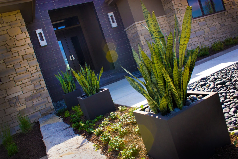 Curb Appeal Water Feature by Lanoha Nurseries - Photo 4