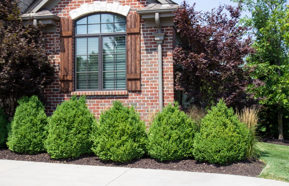 Established & Gorgeous by Lanoha Nurseries - Photo 10
