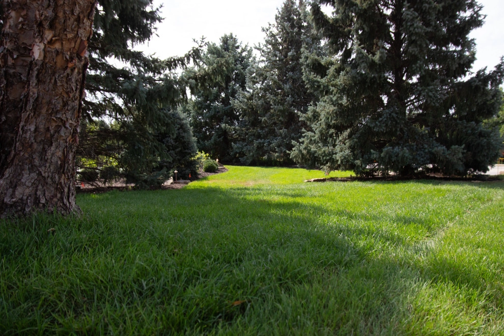 Country Club Vibes by Lanoha Nurseries - Photo 2