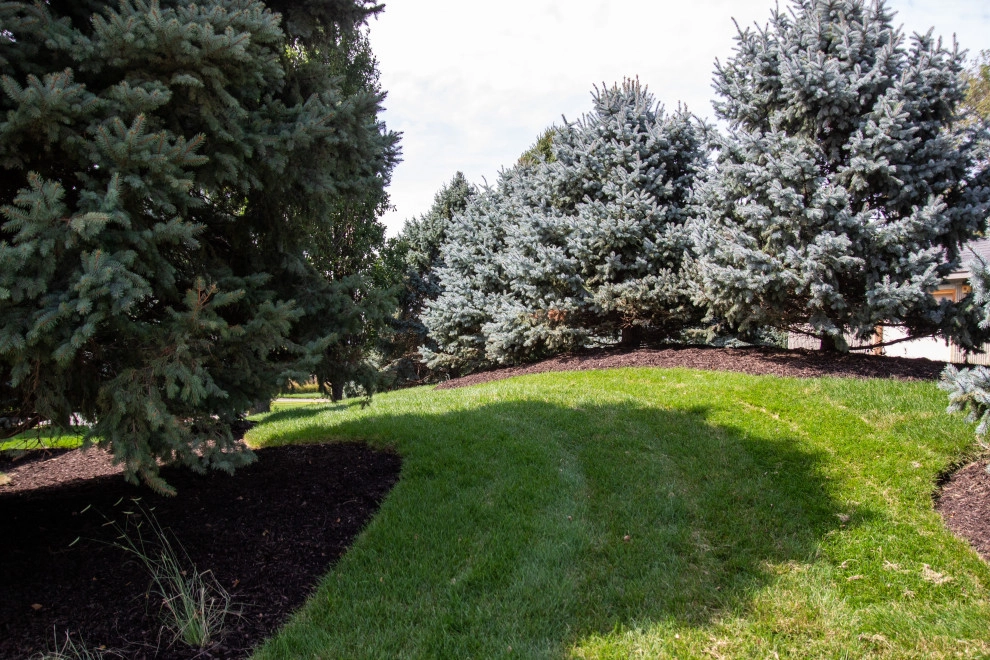 Country Club Vibes by Lanoha Nurseries - Photo 9
