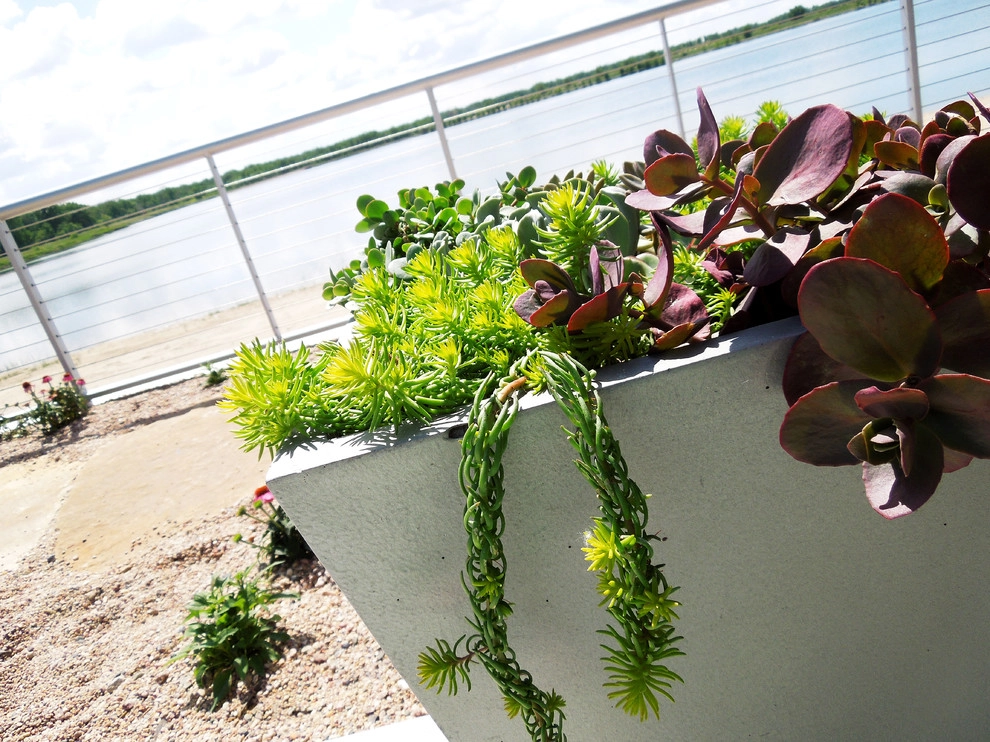 Backyard Beach by Lanoha Nurseries - Photo 14