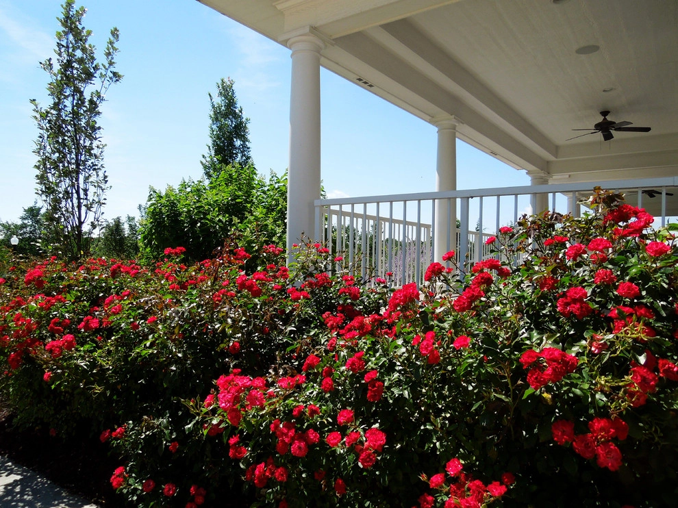 Backyard Retreat by Lanoha Nurseries - Photo 16