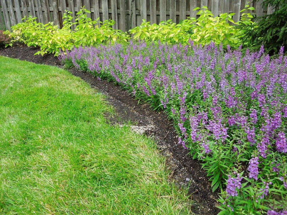 Complete Backyard Re-Do by Lanoha Nurseries - Photo 19