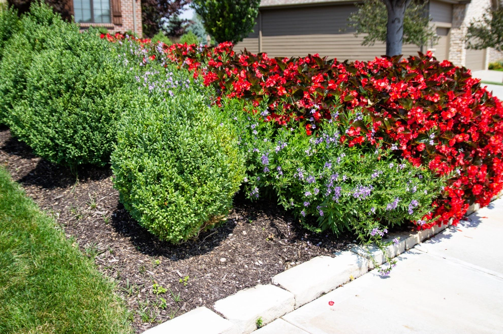 Established & Gorgeous by Lanoha Nurseries - Photo 5