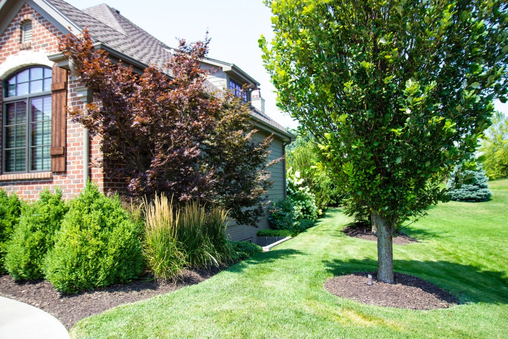 Established & Gorgeous by Lanoha Nurseries - Photo 6
