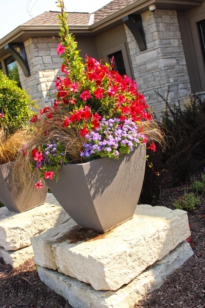 Planter Paradise by Lanoha Nurseries - Photo 2