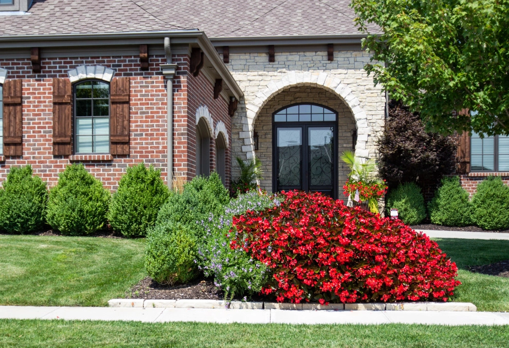 Established & Gorgeous by Lanoha Nurseries - Photo 4