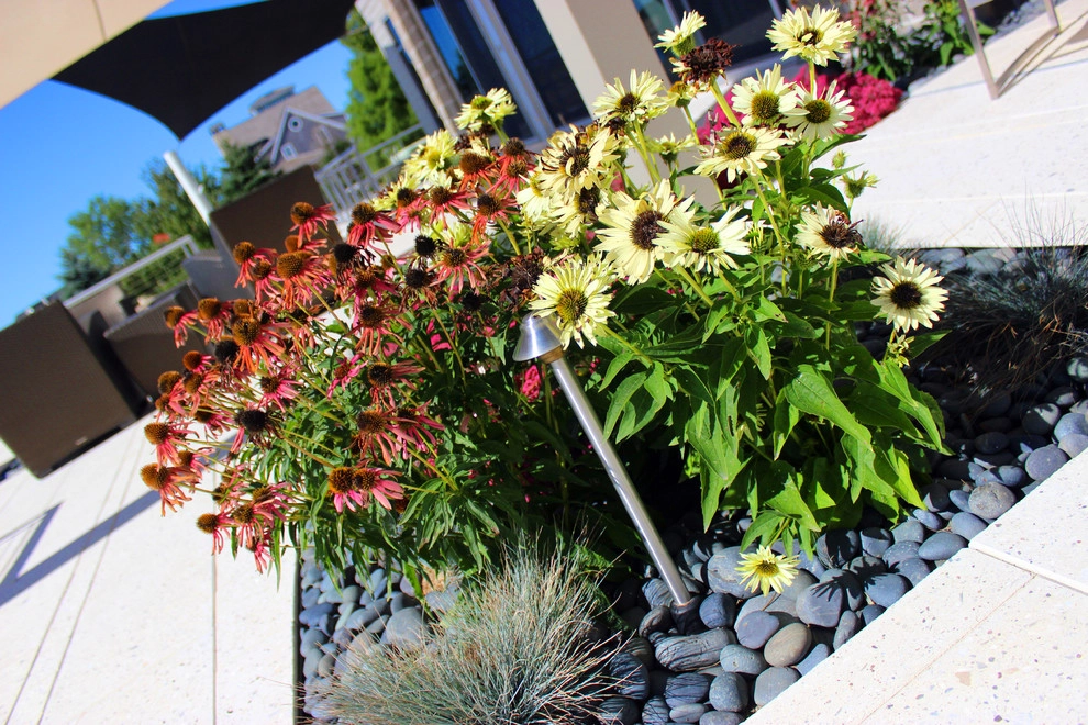 Backyard Beach by Lanoha Nurseries - Photo 15