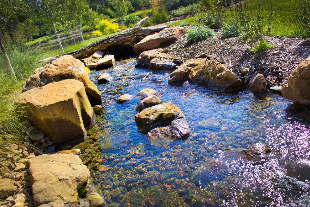 Backyard Creek by Lanoha Nurseries - Photo 6