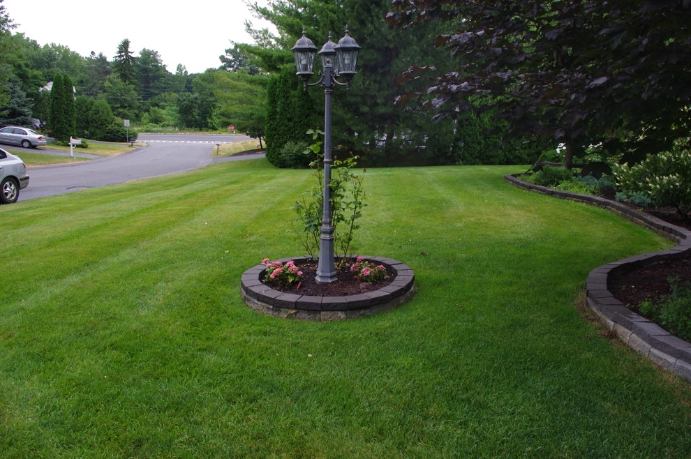 Lawn Dawg - Photo 10