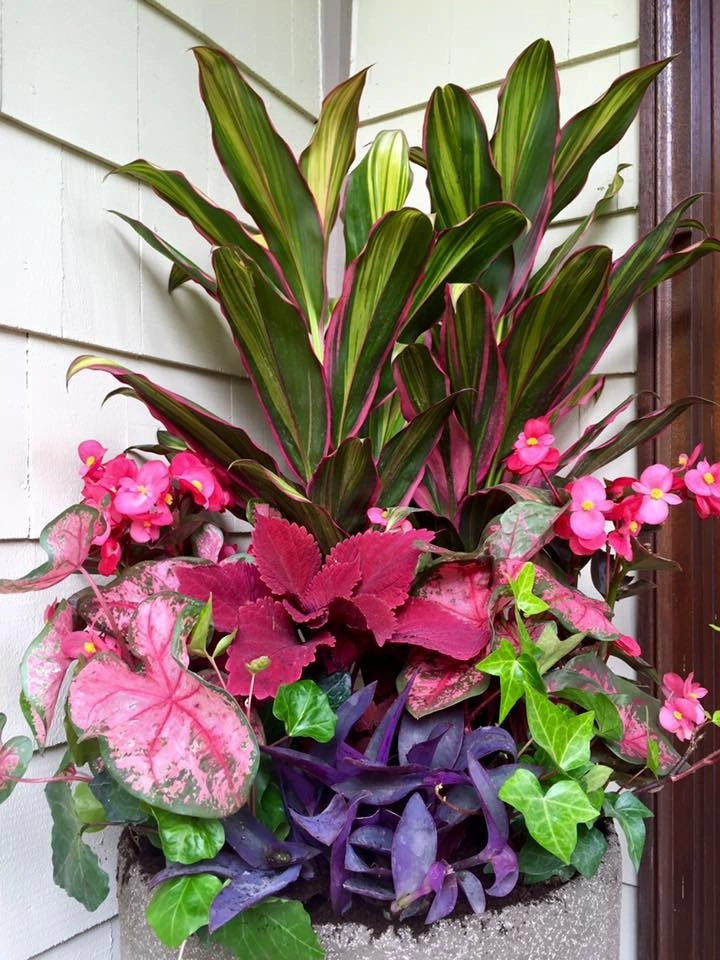 LANDSCAPING by Laslo Landscaping Inc. - Photo 11