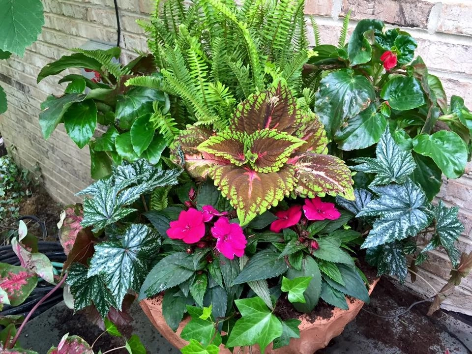 LANDSCAPING by Laslo Landscaping Inc. - Photo 16