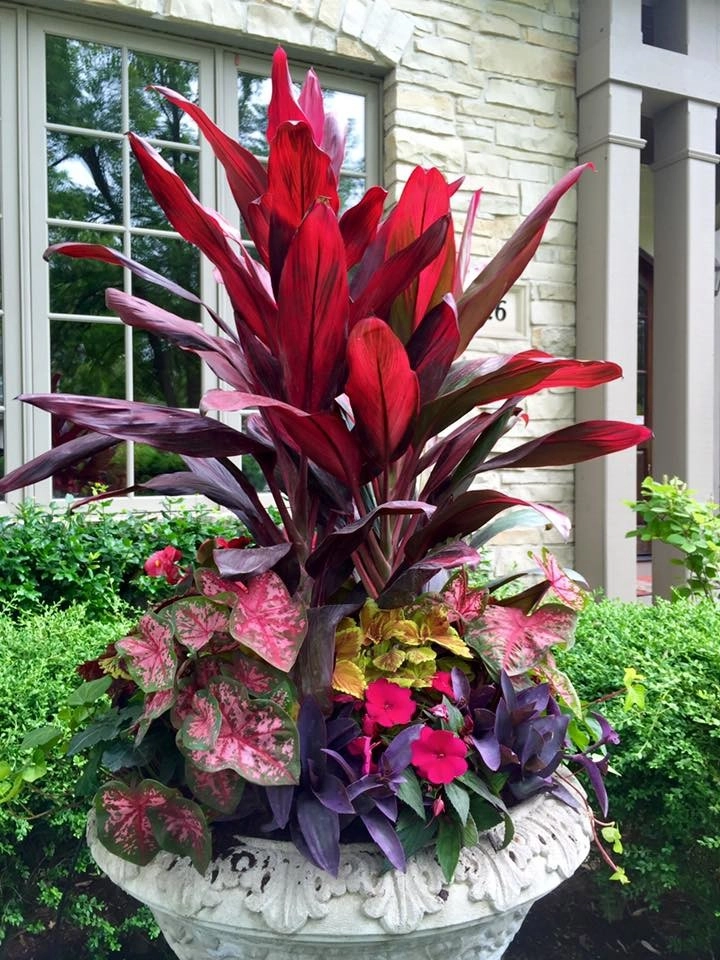 LANDSCAPING by Laslo Landscaping Inc. - Photo 29