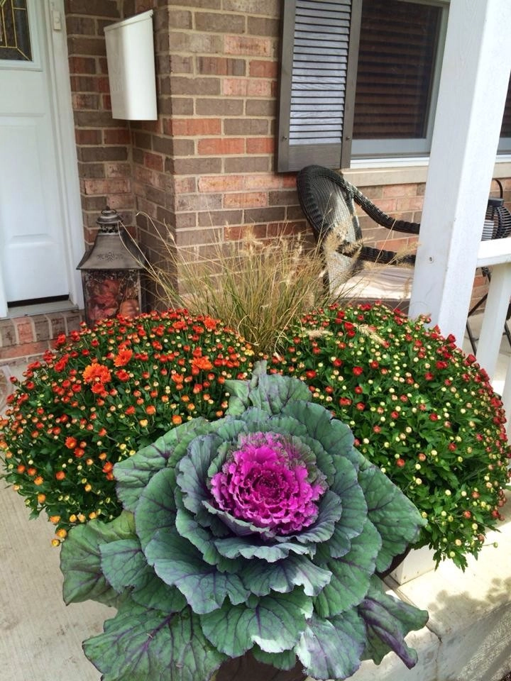 Laslo Landscaping Inc. - Photo 13