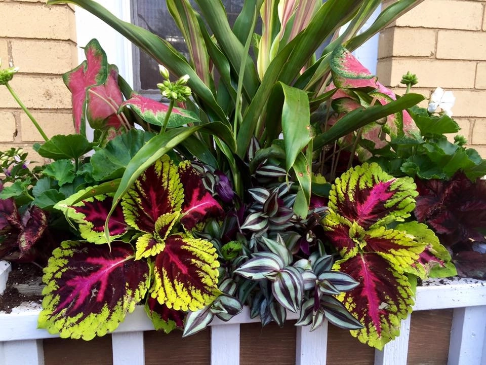 LANDSCAPING by Laslo Landscaping Inc. - Photo 21