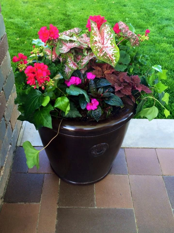 LANDSCAPING by Laslo Landscaping Inc. - Photo 19