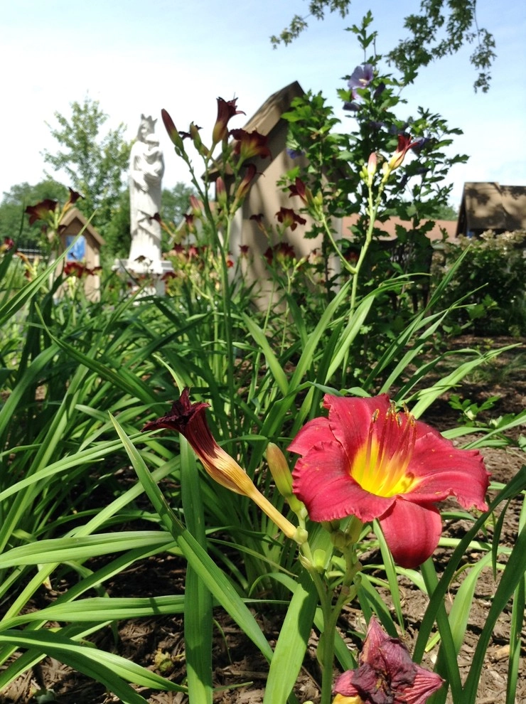 "A Blessed Sanctuary" by Lawncare By Walter, Inc. - Photo 12