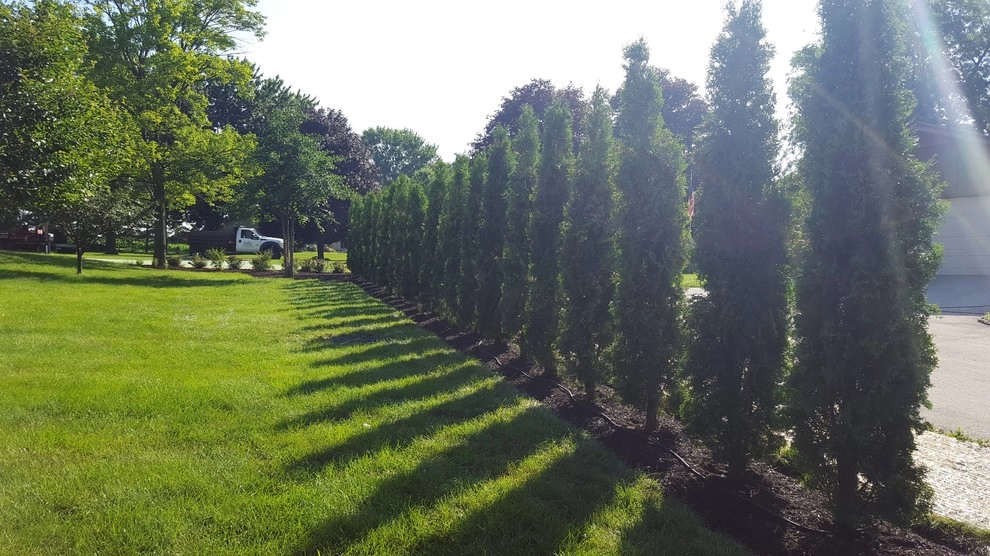 Other Landscape/Hardscape Projects by Lawncare By Walter, Inc. - Photo 14