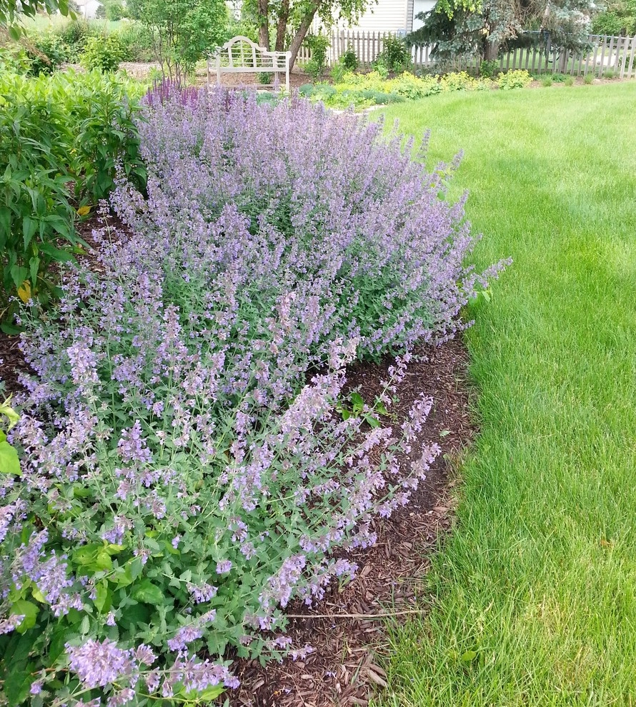 “Nature Painted Memories” by Lawncare By Walter, Inc. - Photo 3