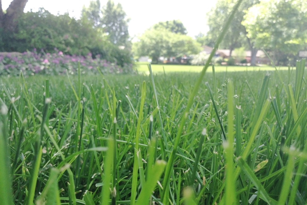 Other Landscape/Hardscape Projects by Lawncare By Walter, Inc. - Photo 33