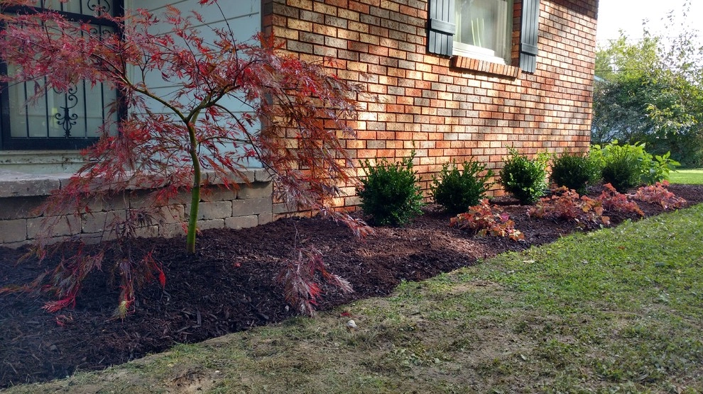 “Time to Remaster a Disaster” by Lawncare By Walter, Inc. - Photo 3