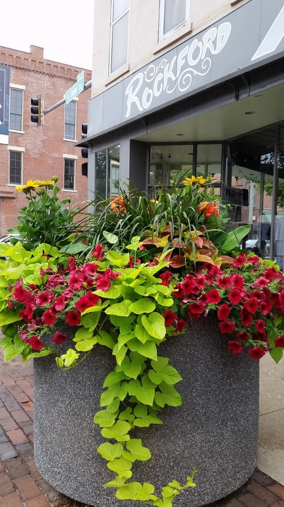 Seasonal Decor by Lawncare By Walter, Inc. - Photo 12