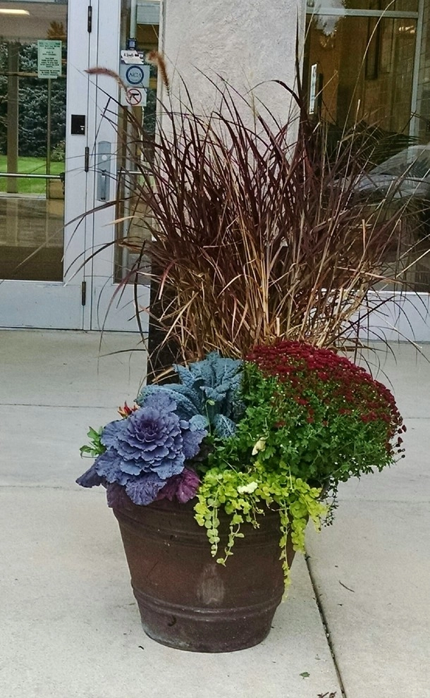 Seasonal Decor by Lawncare By Walter, Inc. - Photo 6