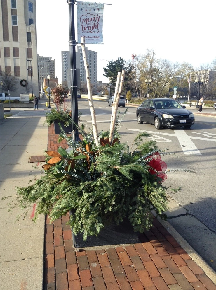 Seasonal Decor by Lawncare By Walter, Inc. - Photo 16