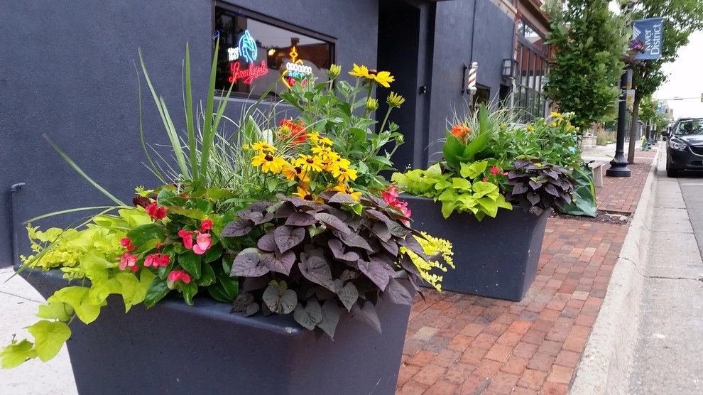 Seasonal Decor by Lawncare By Walter, Inc. - Photo 14