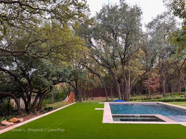 Pools with LawnPop artificial turf by LawnPop Artificial Turf - Photo 48