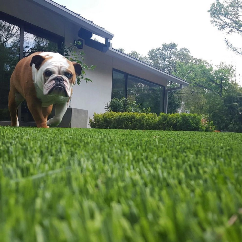Artificial Grass Design by LawnPop Artificial Turf - Photo 23