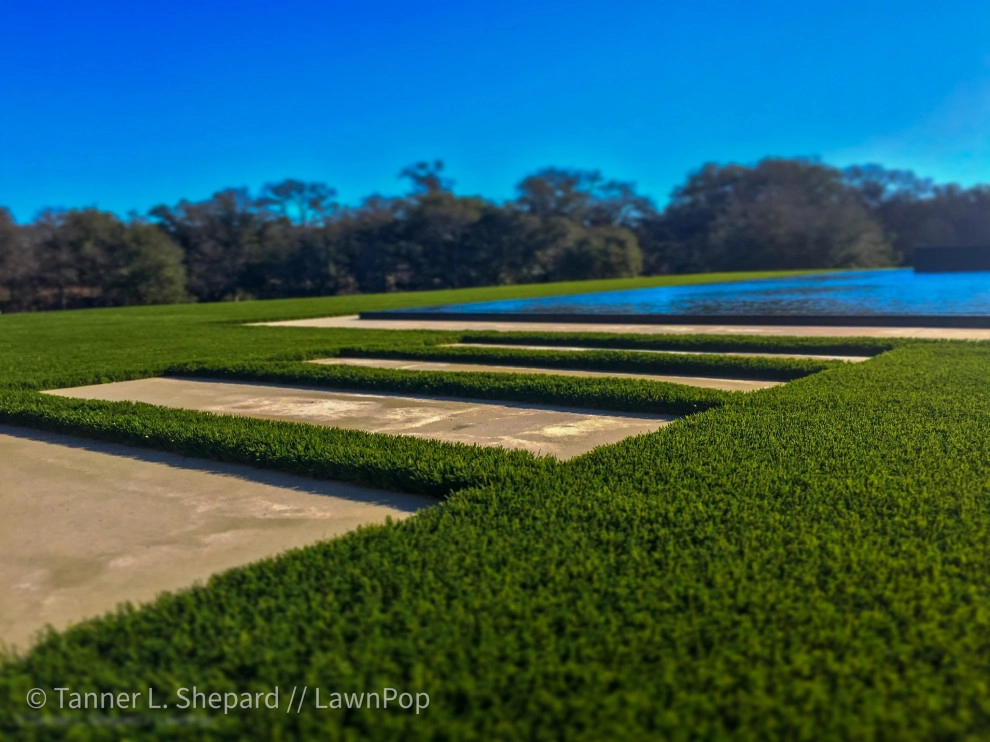 Pools with LawnPop artificial turf by LawnPop Artificial Turf - Photo 39