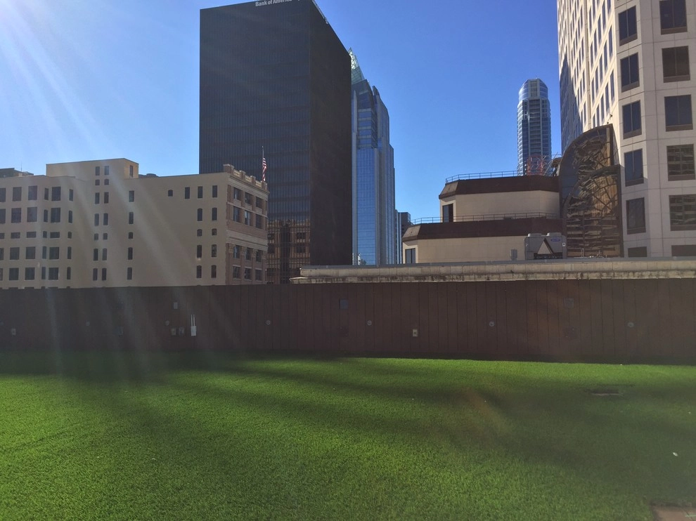 LawnPop Artificial Turf - Photo 9