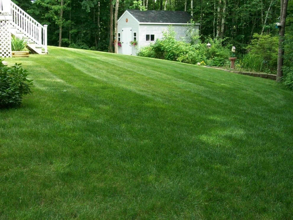 Maine Lawns by Lawn Dawg - Photo 4
