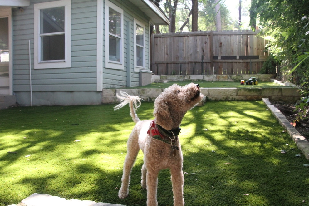Tarrytown Austin Texas by LawnPop Artificial Turf - Photo 2