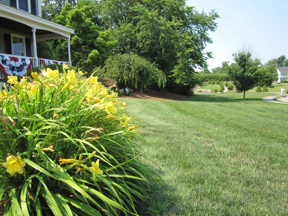 Lawn Dawg - Photo 7