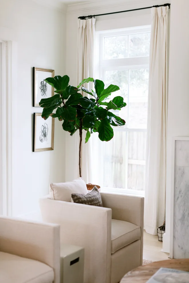 Sandhurst Initiative by Ariva & Co. - Photo 6