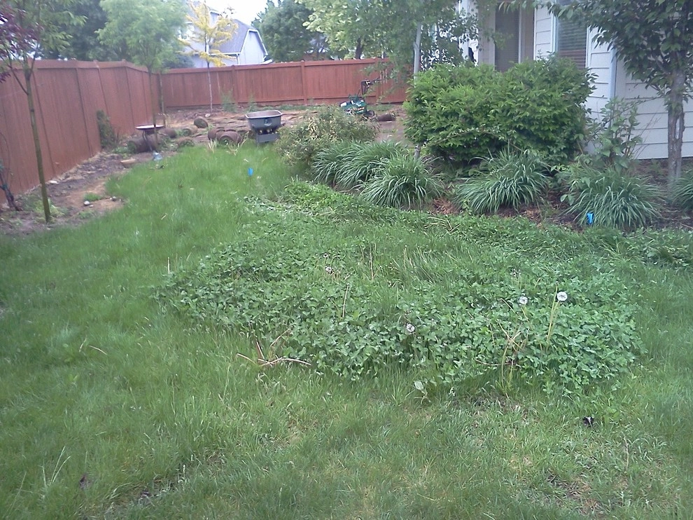 M. Landscape by Legends Landscaping Inc. -Boise, ID - Photo 3