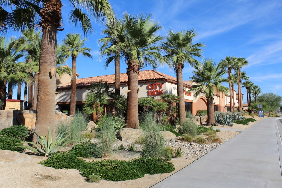 Desert Springs Marketplace by Leon's Landscaping & Tree Service Inc - Photo 2