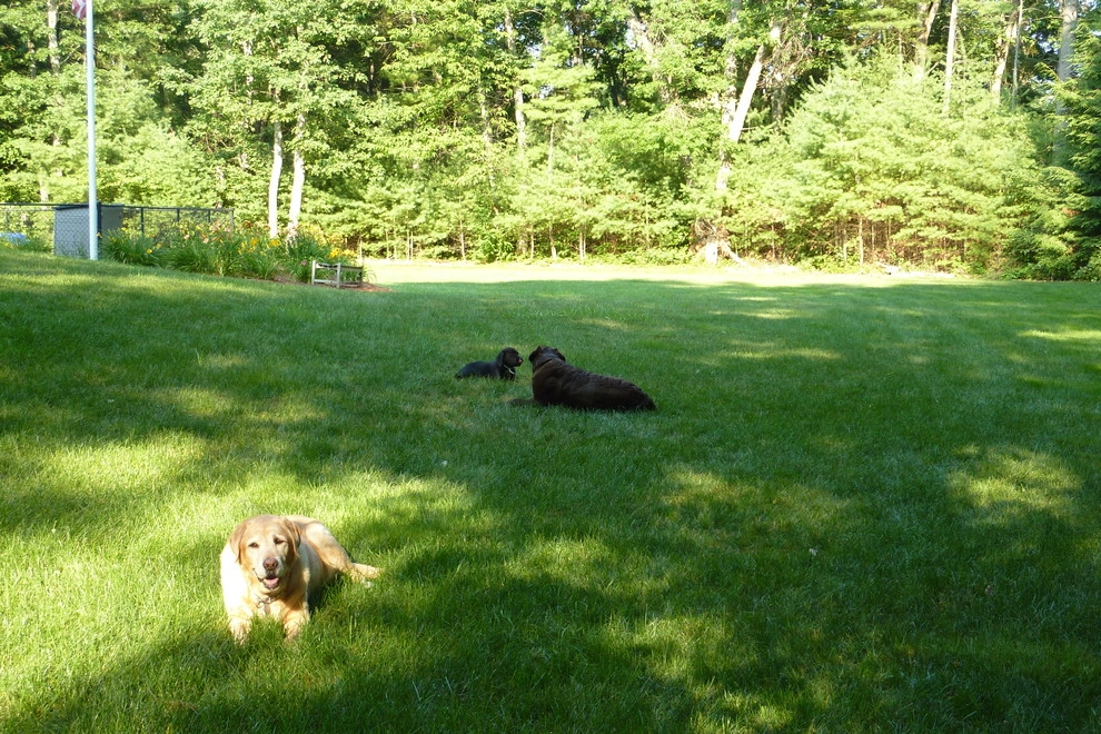 Lawn Dawg - Photo 13