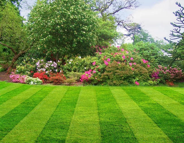 Landscape Construction Projects by LG Scott Landscaping & Tree Service - Photo 6