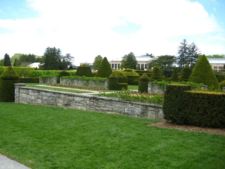 LG Scott Landscaping & Tree Service - Photo 9