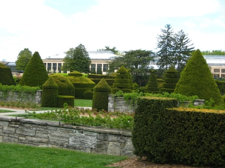 LG Scott Landscaping & Tree Service - Photo 7